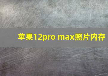 苹果12pro max照片内存